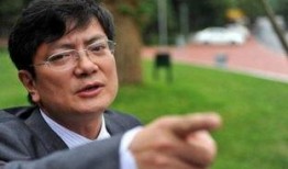 郑强最新爆料视频在线观看,深度剖析事件背后真相