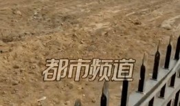 焦作武陟村民爆料案件最新,真相渐明，警方全力侦破中”