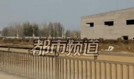 焦作武陟村民爆料案件最新,真相渐明，警方全力侦破中”